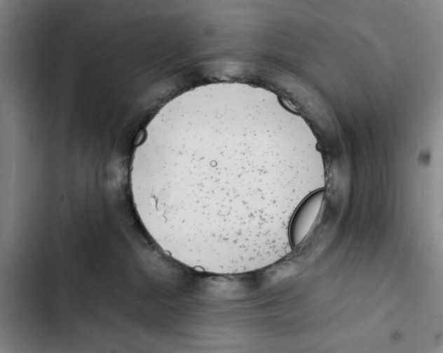 X0000102370284200808291256