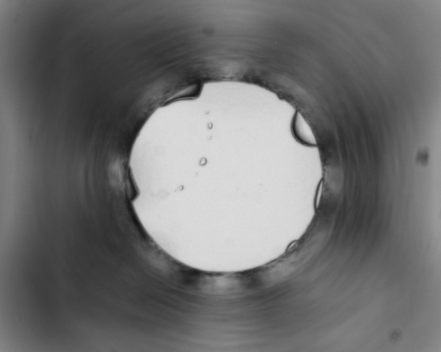 X0000102370286200808291256