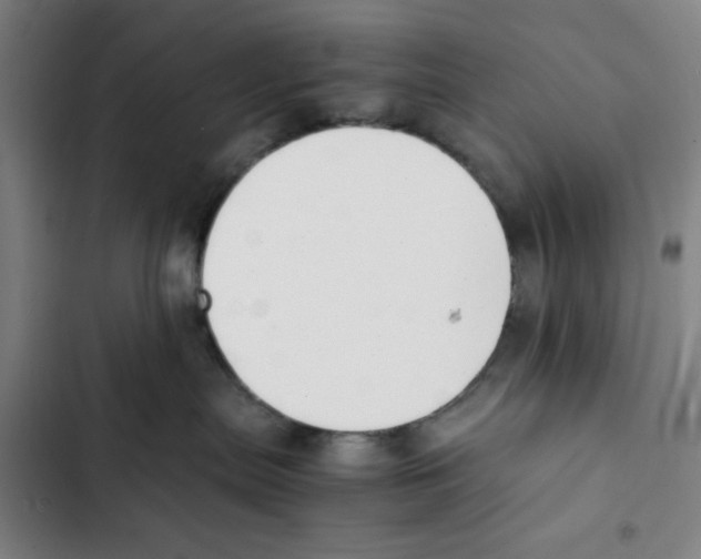 X0000102370287200808291256