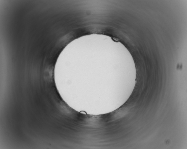 X0000102370288200808291256