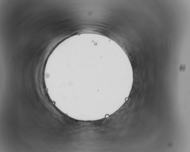 X0000102370289200808291256