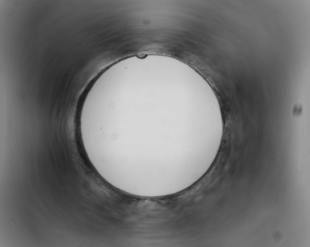 X0000102370290200808291256