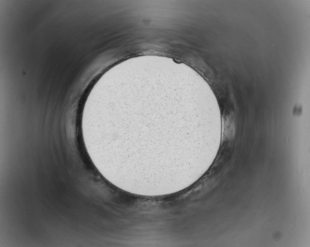 X0000102370291200808291256
