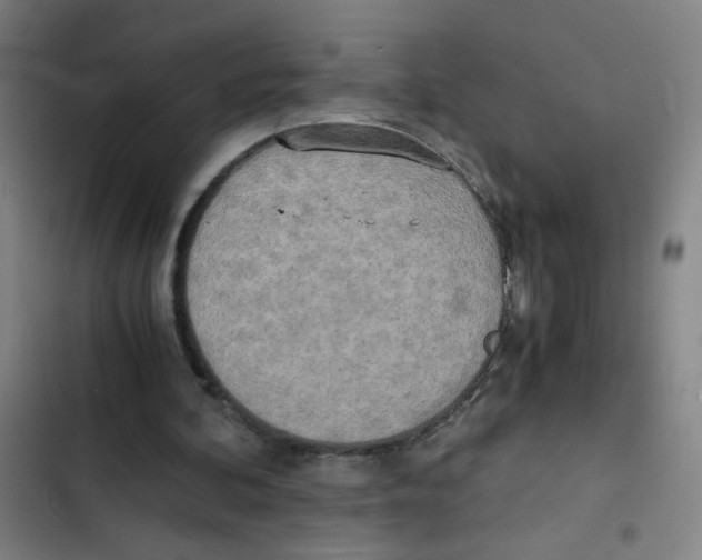 X0000102370292200808291255