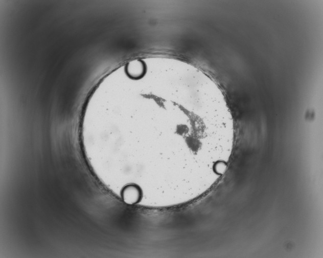 X0000102370293200808291255