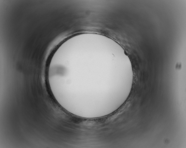X0000102370294200808291255