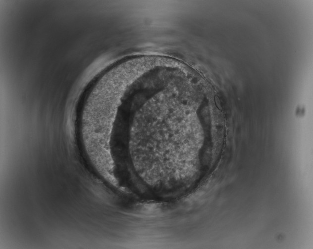 X0000102370295200808291255