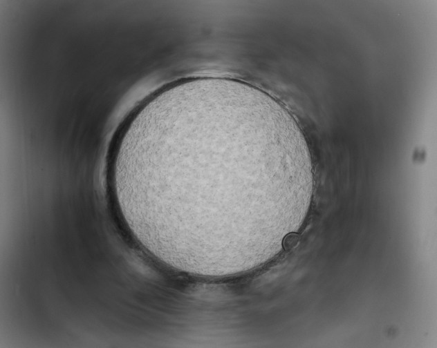 X0000102370296200808291255