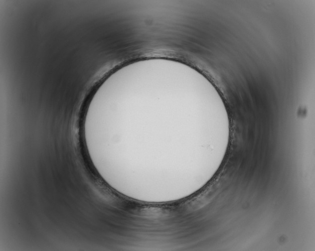 X0000102370298200808291255