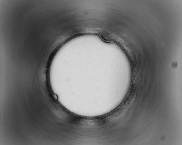 X0000102370299200808291255