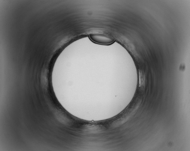 X0000102370300200808291255