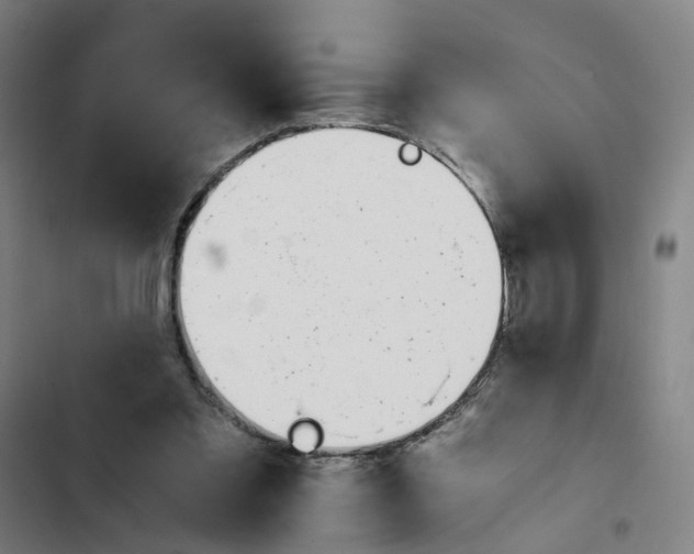 X0000102370301200808291255