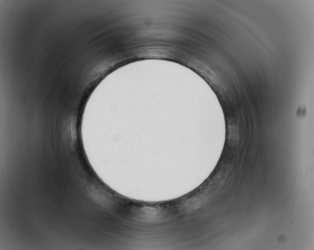 X0000102370302200808291255