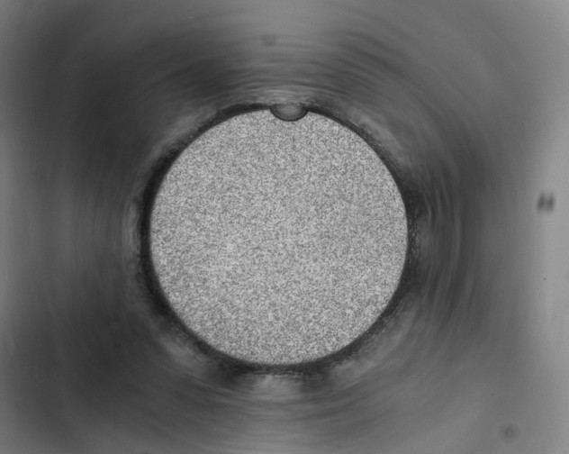 X0000102370303200808291255