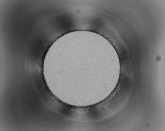 X0000102370305200808291255