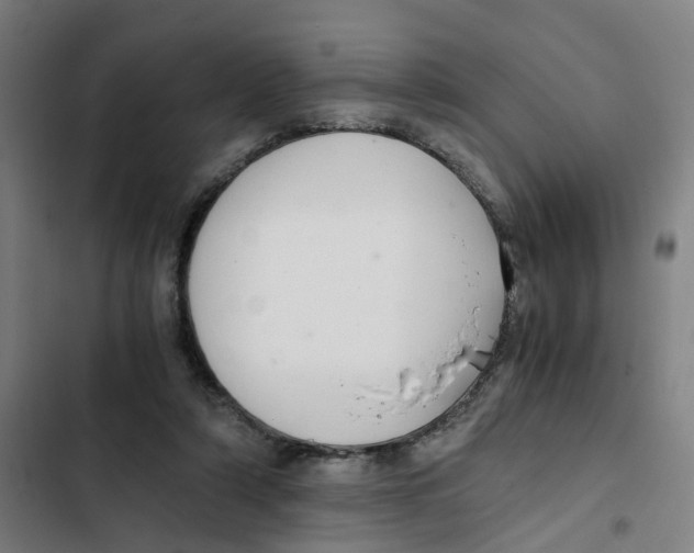 X0000102370306200808291255