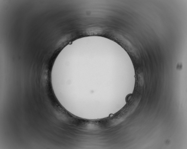 X0000102370308200808291255