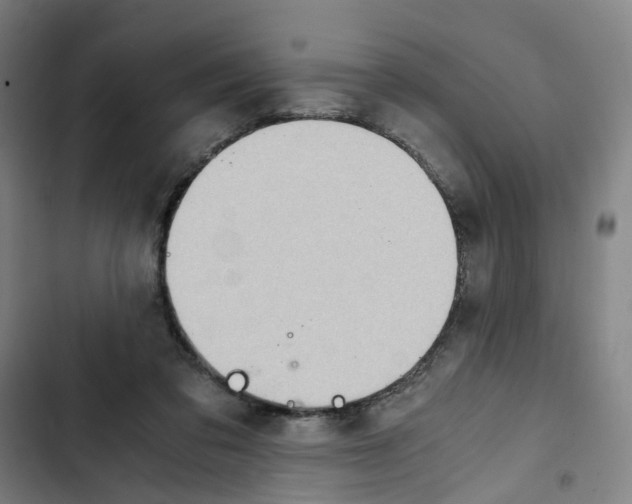 X0000102370309200808291255