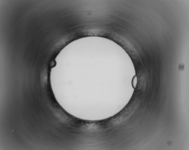 X0000102370310200808291255