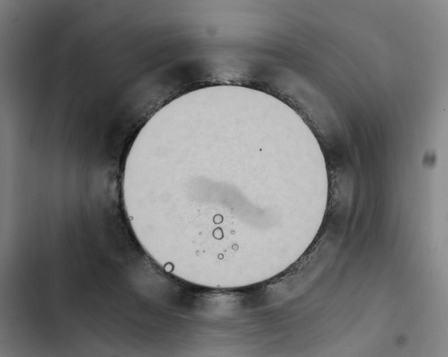 X0000102370313200808291255