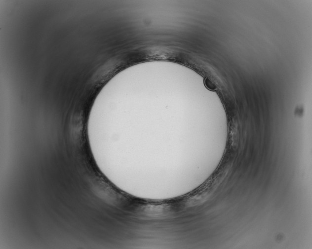 X0000102370314200808291255