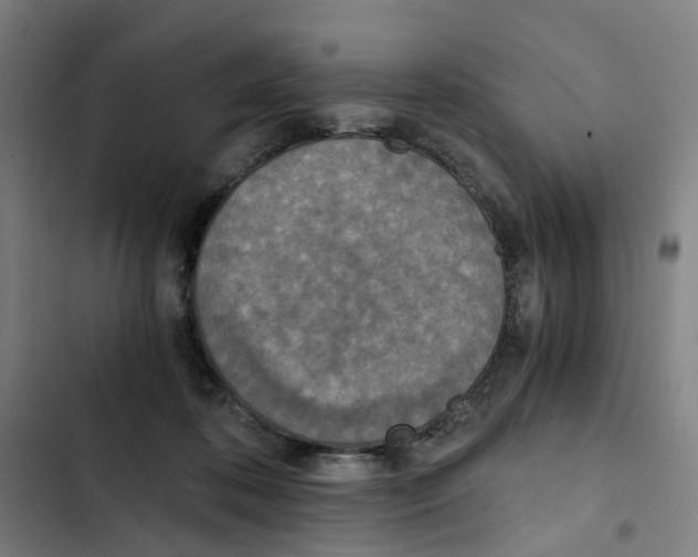X0000102370316200808291255