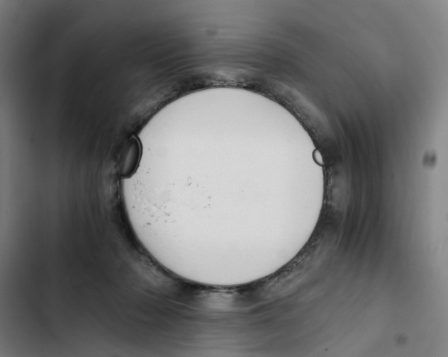 X0000102370318200808291255