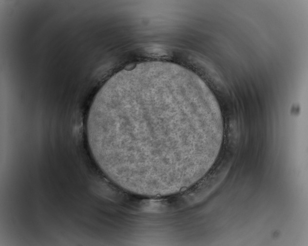 X0000102370320200808291255