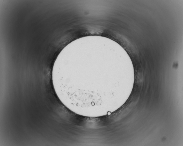 X0000102370321200808291255