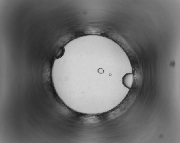 X0000102370322200808291255