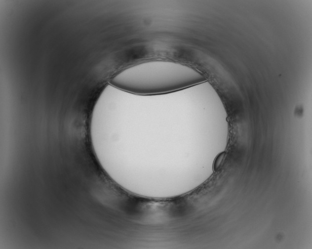 X0000102370323200808291255
