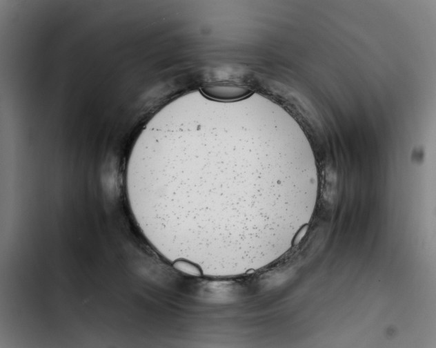 X0000102370324200808291255