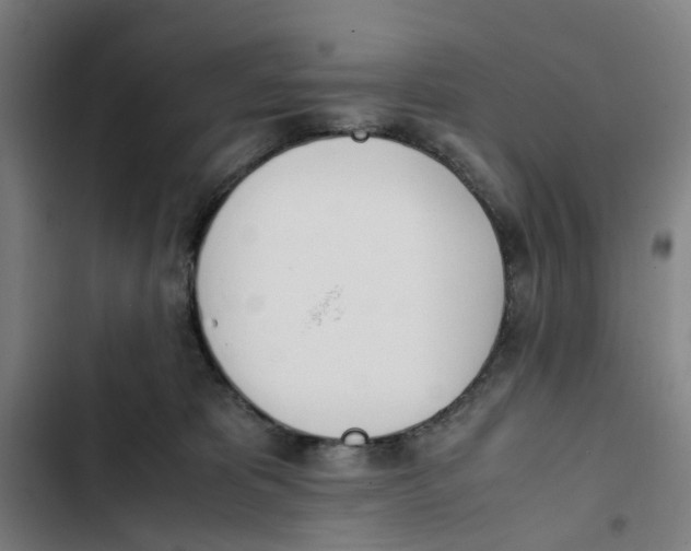X0000102370325200808291255
