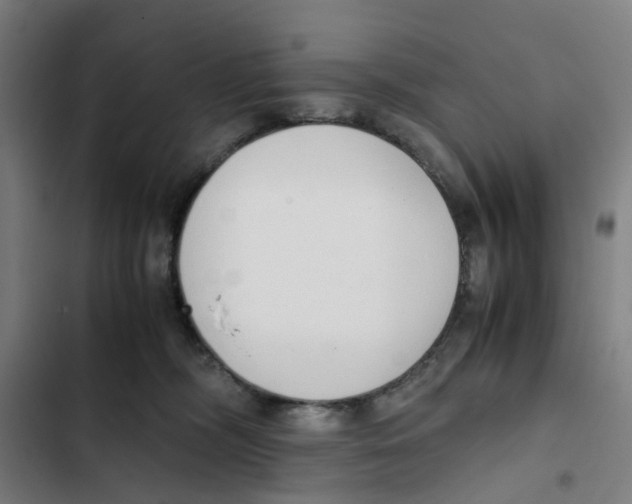 X0000102370326200808291255