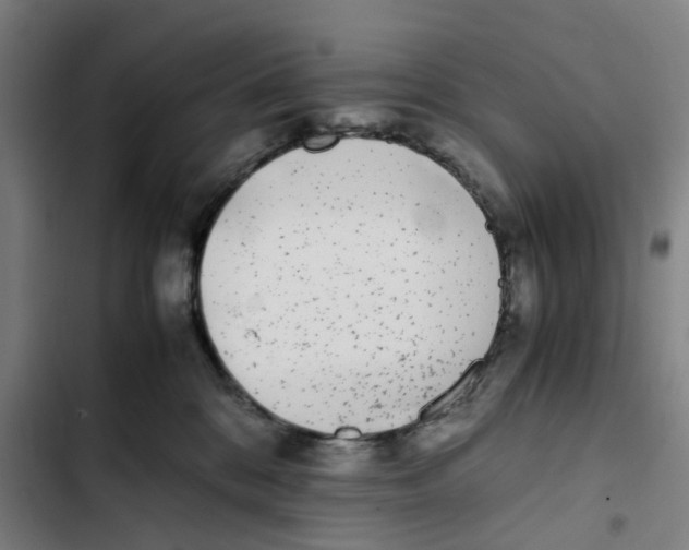 X0000102370328200808291255