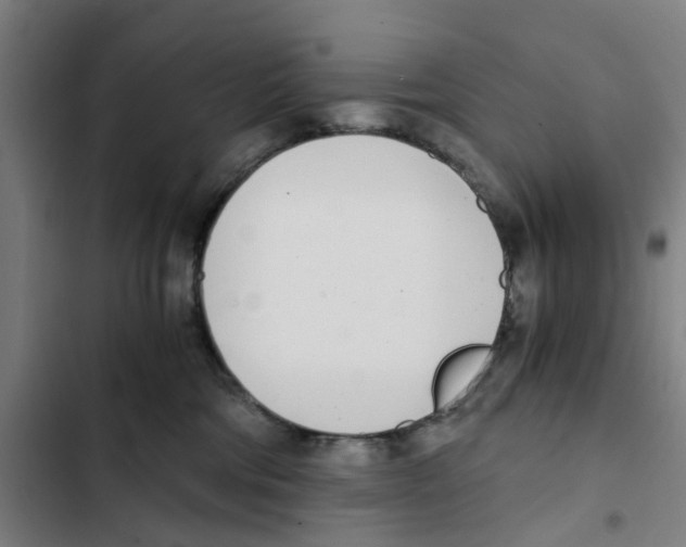 X0000102370330200808291255