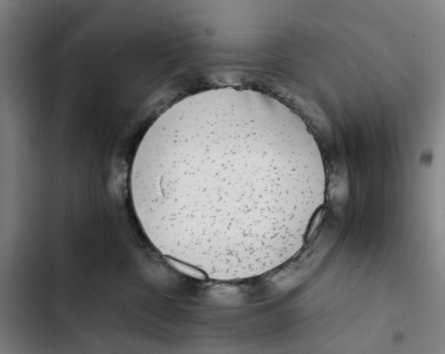 X0000102370332200808291255