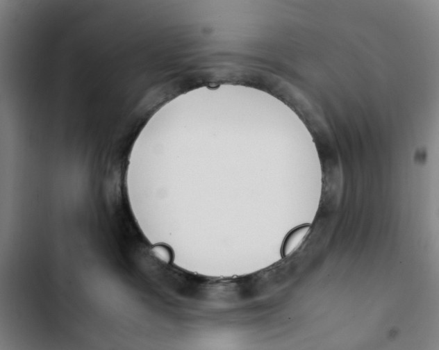 X0000102370333200808291255