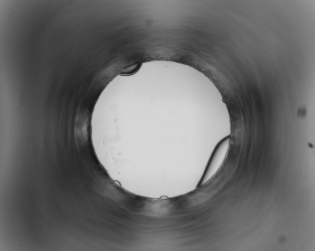 X0000102370334200808291255