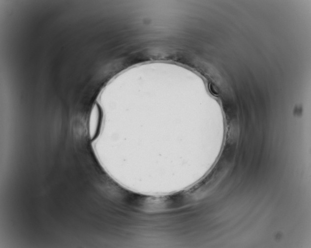 X0000102370335200808291255