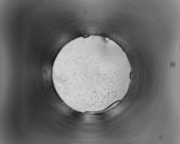X0000102370336200808291255