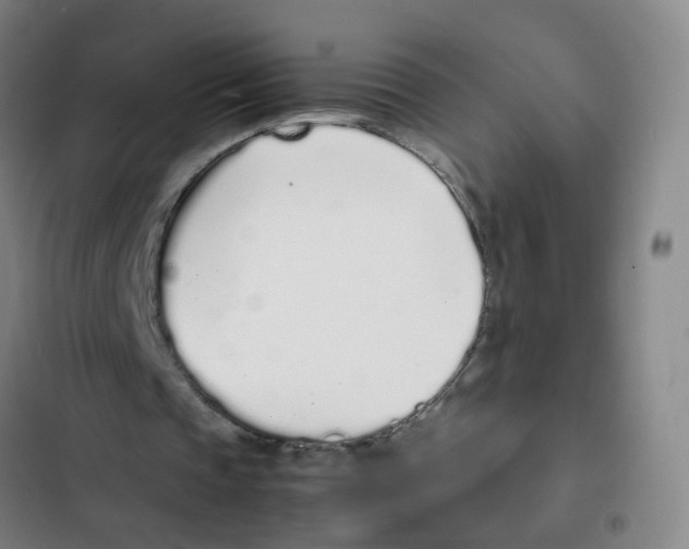 X0000102370337200808291254