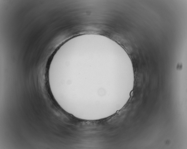 X0000102370338200808291254