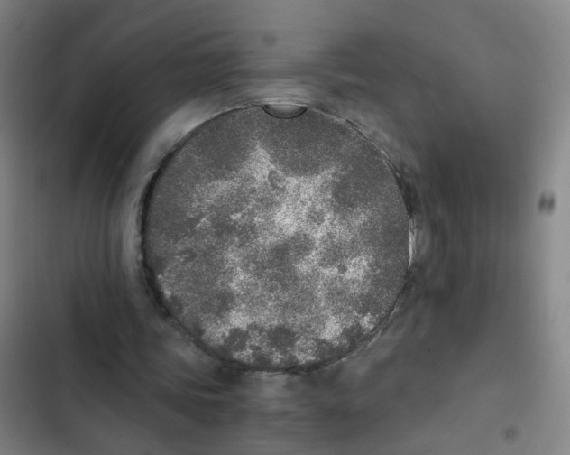 X0000102370339200808291254