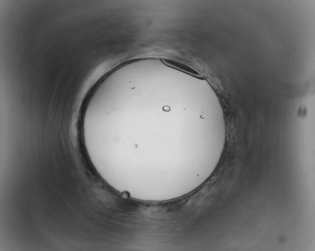 X0000102370340200808291254