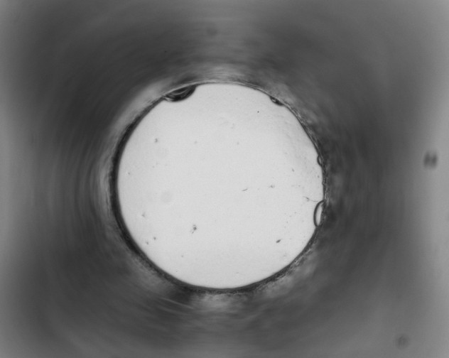X0000102370341200808291254