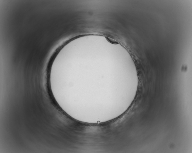 X0000102370342200808291254