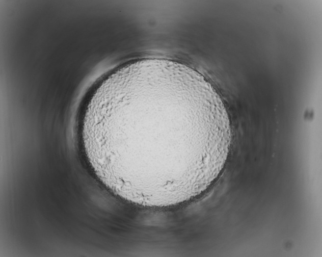 X0000102370343200808291254