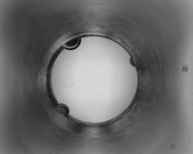 X0000102370344200808291254