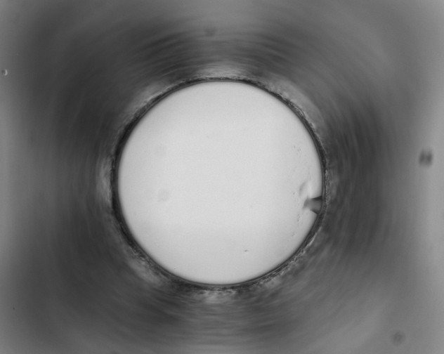 X0000102370345200808291254